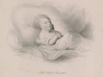 Pequena kate de kensington de English School