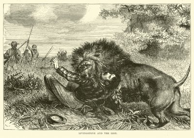 Livingstone e o leão de English School