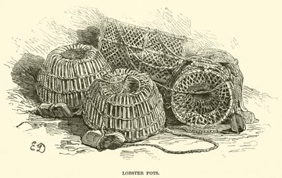 Panelas de Lagosta (gravura) de English School