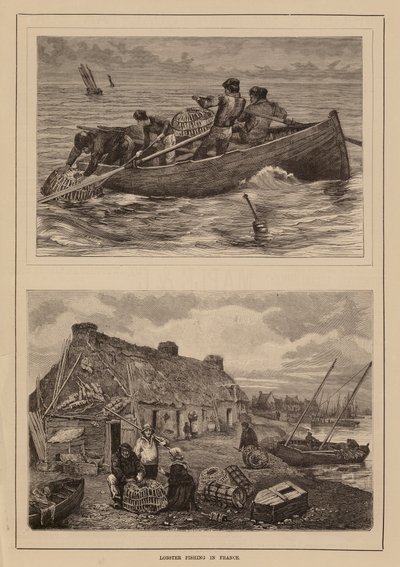 Pesca da lagosta, França (gravura) de English School