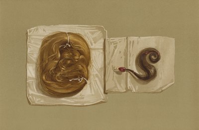 Fechadura de Cabelo de Maria Rainha dos Escoceses, Fechadura de Cabelo do Rei Carlos I (chromolitho) de English School