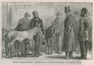 Lord Shaftesbury inspecionando burros costermongers de English School