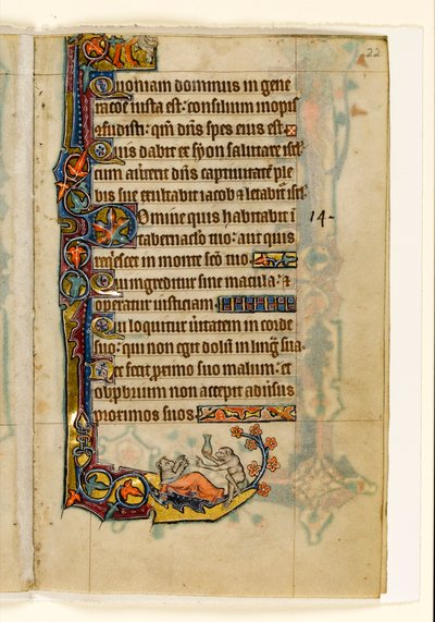 MS 1-2005, fol. 22r: O Ape-doutor e sua decoração paciente-paciente, marginal do Saltério de Macclesfield, Uso de Sarum, East Anglia, c.1330 de English School