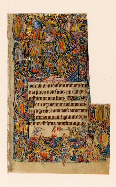 MS 1-2005, fol. 9r: A Árvore de Jessé e a fronteira inicial dos Beatus com músico e combate grotesco, do Saltério de Macclesfield, Uso de Sarum, East Anglia, c.1330 de English School