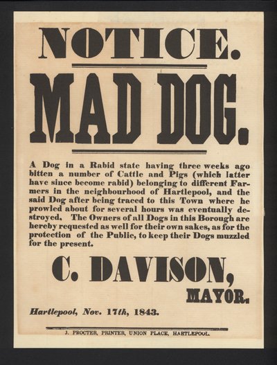Aviso do cão louco, Hartlepool, 1843 de English School