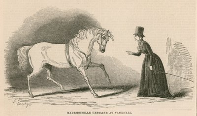 Mademoiselle Caroline em Vauxhall Gardens, Londres de English School