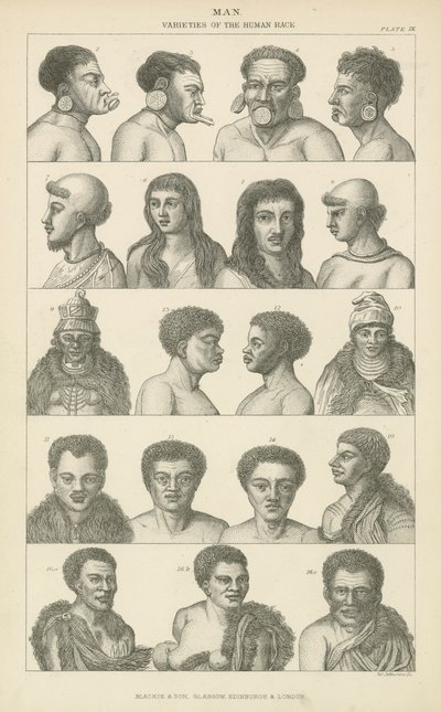 Caramba. Variedades da raça humana (gravura) de English School