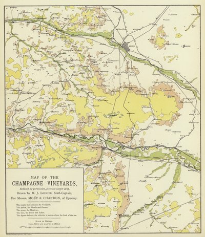 Mapa das vinhas de Champagne (litografia a cores) de English School
