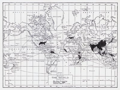 Mapa do mundo com os países produtores de arroz (litografia) de English School