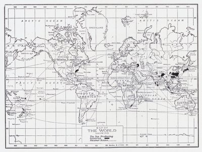 Mapa do mundo mostrando os países produtores de chá de English School