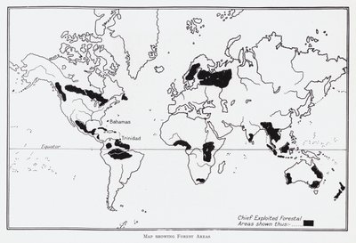 Mapa mostrando áreas florestais (litho) de English School