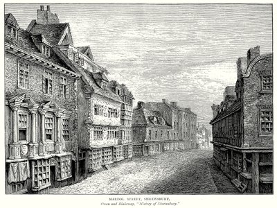 Mardol Street, Shrewsbury (gravura) de English School