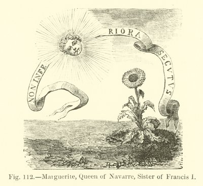 Marguerite, Rainha de Navarra, Irmã de Francisco I de English School