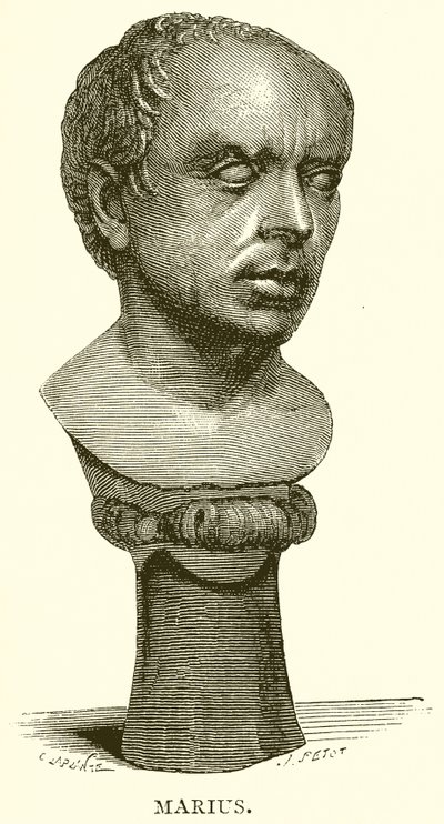 Marius de English School