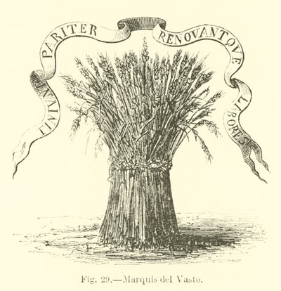 Marquês del Vasto de English School