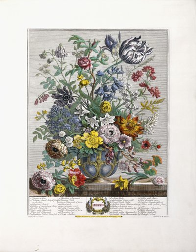 Maio de 1730 de English School
