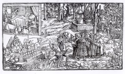 Cultivo de ervas medicinais, 1531 de English School
