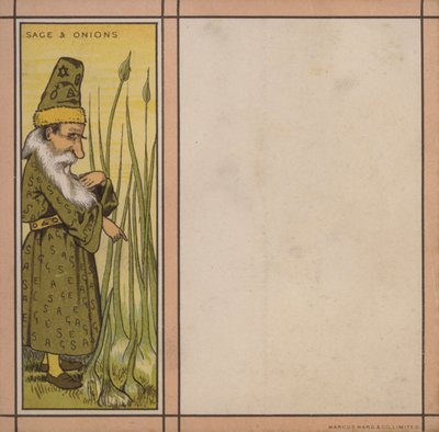Ilustração do menu: Sábio e cebola (cor litho) de English School