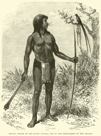 Mesaya Indígena do Rio Japura, um dos Afluentes da Amazônia de English School