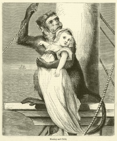 Macaco e criança (gravura) de English School