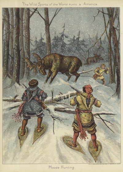 Caça aos alces de English School