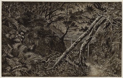 Mulgrave Woods, perto de Whitby (litografia) de English School