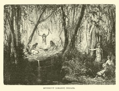 Índios Mundrucu (Amazonas) de English School