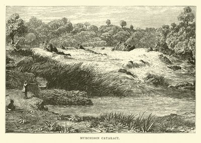 Catarata de Murchison de English School