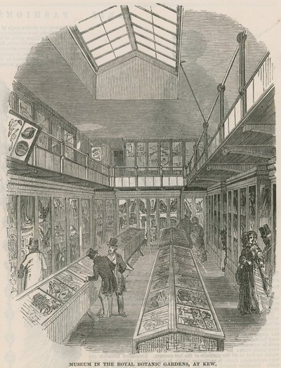 Museu no Royal Botanic Gardens, em Kew de English School