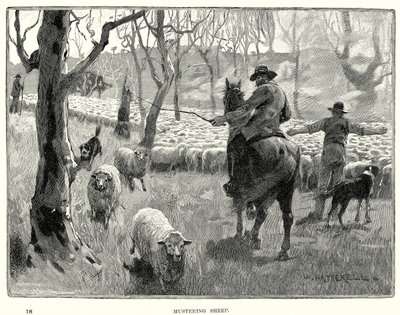 Ovelhas de reunião (gravura) de English School