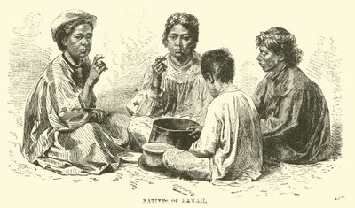Nativos do Havaí de English School