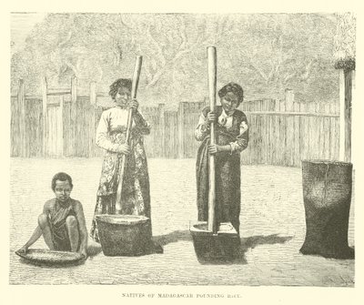 Nativos de Madagascar batendo arroz de English School