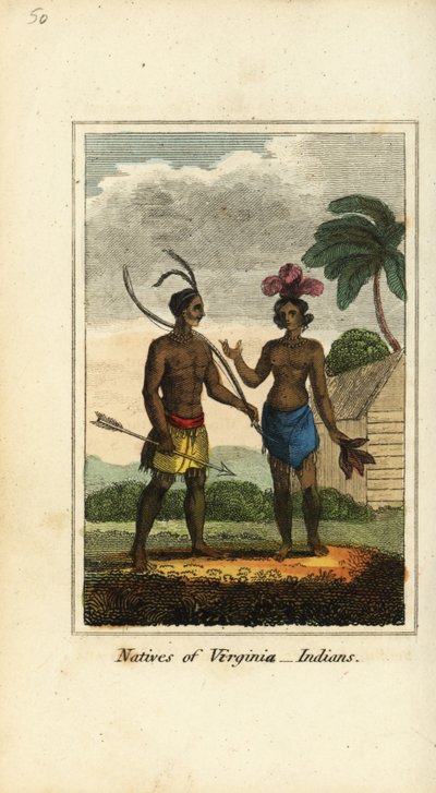 Nativos da Virgínia, América de English School