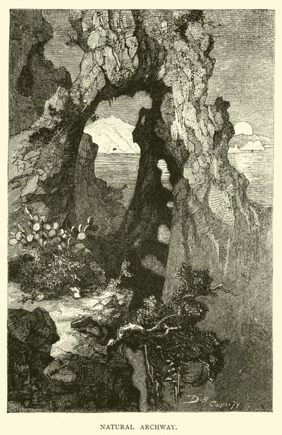 Arco Natural de English School