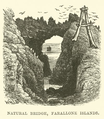 Ponte Natural, Ilhas Farallone de English School