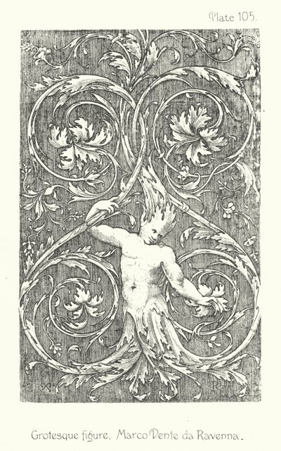 Natureza em ornamento: figura grotesca, Marco Dente da Ravenna (litografia) de English School
