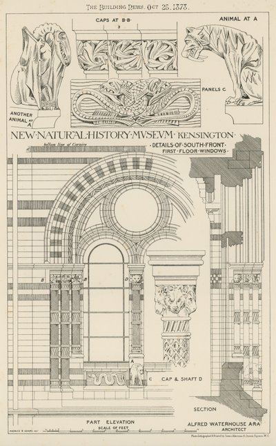 Novo Museu de História Natural, South Kensington, Londres de English School
