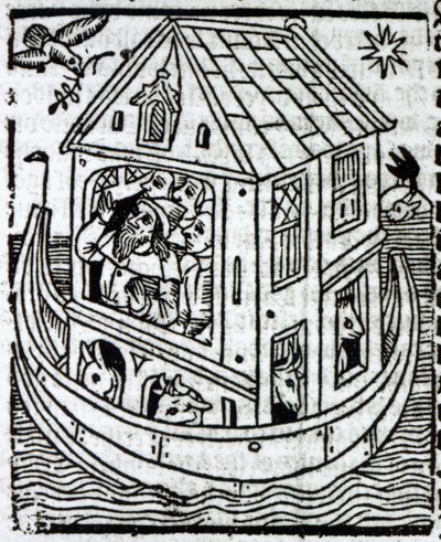 Arca de Noé de English School