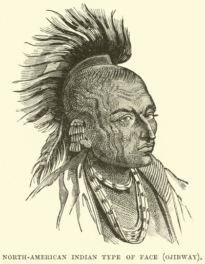 Tipo de rosto indiano norte-americano, Ojibway de English School