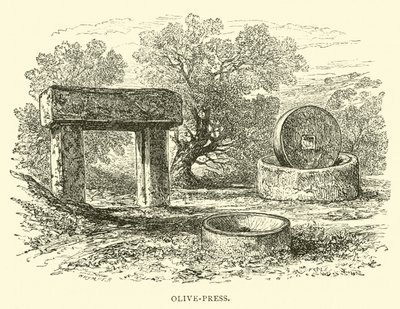 Olive-press de English School