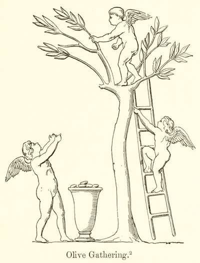 Coleta de azeitona de English School