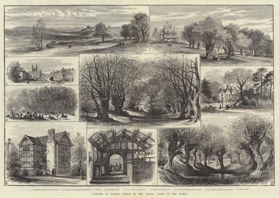 Abertura de Epping Forest pela Rainha, Views in the Forest (gravura) de English School