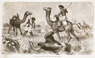 Avestruz caça - o fim da perseguição, ilustração da edição pictórica da vida e descobertas de David Livingstone por J. Ewing Richie, pub. por A. Fullarton & Co., 1876 de English School