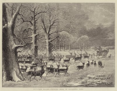 Relevo Out-Door, Alimentando Veados em Richmond Park (gravura) de English School