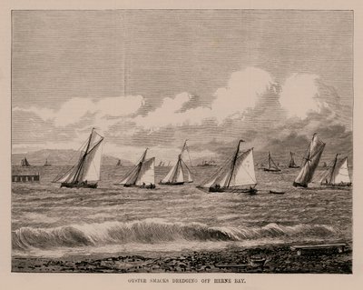 Dragagem de ostras ao largo de Herne Bay (gravura) de English School