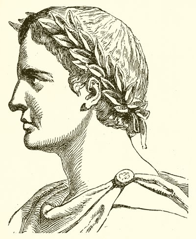 Plínio, o Velho de English School