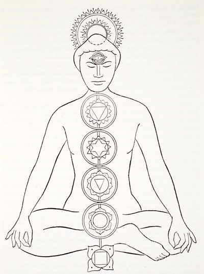 Padmasana ou posição de lótus de English School