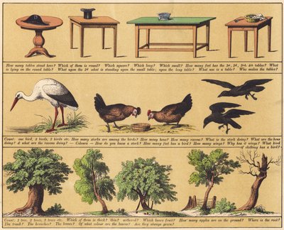 Página de The New Picture Book (litografia a cores) de English School