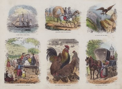 Página do Livro de Imagens Atraente (gravação a cores) de English School