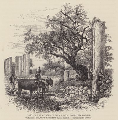 Parte do Colonnade que uma vez circundou Samaria (gravura) de English School
